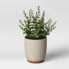 Textured Ceramic Planter Pots White - Opalhouse™