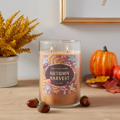 21.5oz Lidded Glass Jar 2-Wick Autumn Harvest Candle - Opalhouse™ 21.5oz Lidded Glass Jar 2-Wick Autumn Harvest Candle - Opalhouse™ -Dream Interiors Shop GUEST d493f41a 53f3 49af 851d 75c34df8924a