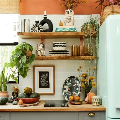 Seasonal Shelfie Collection - Opalhouse™ designed with Jungalow™ Seasonal Shelfie Collection - Opalhouse™ Designed With Jungalow™ -Dream Interiors Shop GUEST da556706 1e36 4063 84de 42f703790556