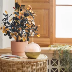 100ml Iridescent Oil Diffuser White - Opalhouse™ 6 100ml Iridescent Oil Diffuser White - Opalhouse™ -Dream Interiors Shop GUEST f12702f8 e31d 43ee 96f7 42fa6e708262